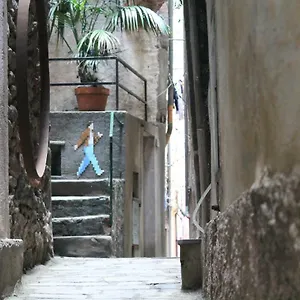 Guardando Le Stelle , Vernazza Italy